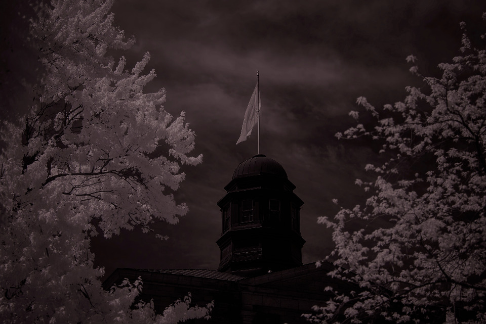 An architectural image of a building with a tower and a flag on top. The image is framed by trees with white leaves and set against a dark, cloudy sky.