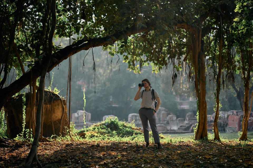 A photographer stands beneath a canopy of trees in an ancient, sunlit park, capturing the atmosphere of the ruins. The image plays with light and shadow, creating a serene yet mysterious setting.